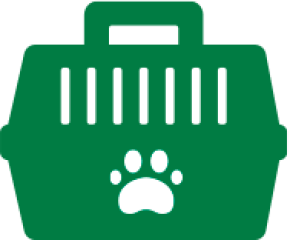 Icon Pettaxi